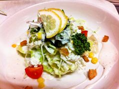 料理メニュー写真&nbsp;カッテージチーズ＆新鮮レタスのシーザーサラダ