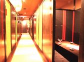 桜坂 心斎橋店の雰囲気3