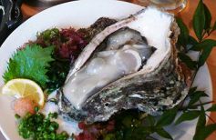 料理メニュー写真 天然 地どれ 岩ガキの蒸し焼き
