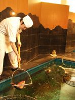 【いけすの鮮魚を使用】