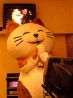 カラオケ本舗 まねきねこ 札幌琴似店のおすすめポイント2