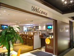 フラット カフェの雰囲気1