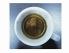 アルゴノート Argonauta カフェのロゴ