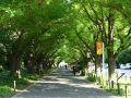 原宿・青山・表参道　CAFE SPEIRA カフェスペーラの雰囲気