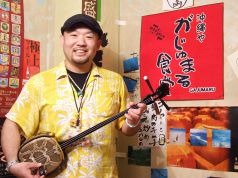 沖縄 や がじゅまる食堂の雰囲気1