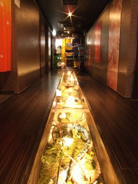 竹取御殿 立川店 個室の雰囲気1