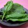 料理メニュー写真&nbsp;　・ほうれん草