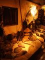 月の宴 虎ノ門駅前店の雰囲気1
