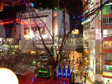 渋谷 カチカチ山の雰囲気1