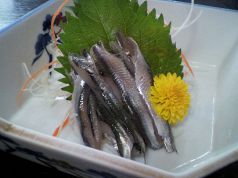 料理メニュー写真 小いわし刺身