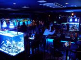 Casual Bar AQUARIUM