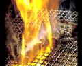 創彩城 國とり物語 九州の陣のおすすめ料理1