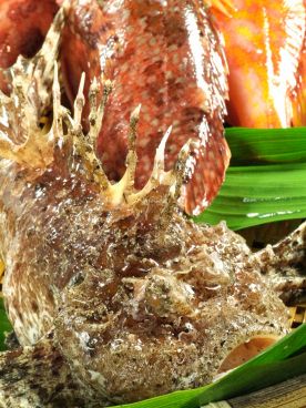 晴れたり曇ったり 天神のおすすめ料理1