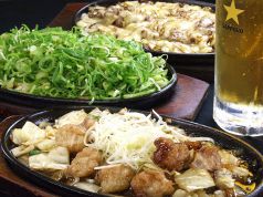 鉄飯の写真
