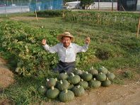 契約農家からの有機野菜