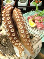 たこ足の一本焼き