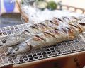 料理メニュー写真&nbsp;旬の一品