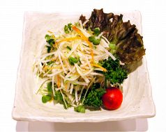 料理メニュー写真 大根サラダ