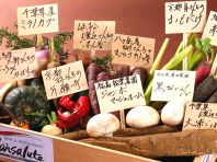 契約農家から届く元気野菜