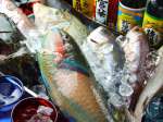 沖縄料理 うりずん食堂