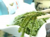 沖縄料理 旨いもの市場 旬のおすすめ料理3