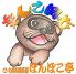 札幌相撲茶屋 ぽんぽこ亭のロゴ