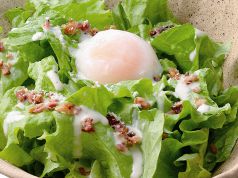 料理メニュー写真 半熟卵がのった有機レタスのシーザーサラダ