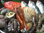 回転寿司 魚浜