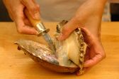 扱う素材は新鮮そのもの