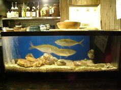 奥志摩 栄店 海女縁房の雰囲気3