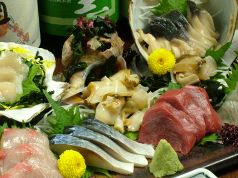 旭川市中心部　味市場 酒菜家の写真