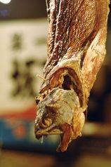 ウオヤイチロー 魚やICHIROの写真