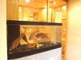 新鮮市場 芝大門店の雰囲気3