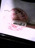 お子様の入店ごめんなさい
