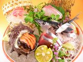 和献洋彩 にんにん 堺東本店のおすすめ料理2