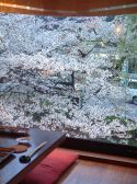 花見て一杯！（送別会や歓迎会には最高！）