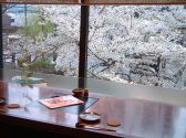 花見て一杯！（春には眼前に満開の桜が）
