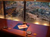 夜桜で一杯！（夜桜を眺めながら・・・・）