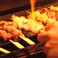 料理メニュー写真&nbsp;鶏もも・鶏皮・レバー・砂肝・タン・上タン・ハツ・ハツもと・ひざ軟骨