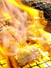 山城酒場 情熱ホルモンのおすすめポイント1