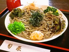 旬菜 松江の写真