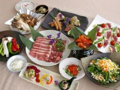 特別焼肉会席「賑」コース