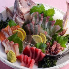 料理メニュー写真 鳥取県境港直送地魚