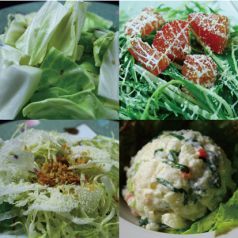 料理メニュー写真 塩だれキャベツ/ごぼうの黒ゴマサラダ/シーザーサラダ/京風 ポテサラ/大根サラダ