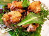 トラットリア ヴィーノ Trattoria Vinoのおすすめ料理2
