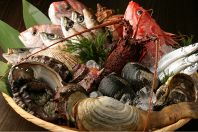 近海産直送の新鮮な鮮魚