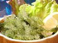 料理メニュー写真&nbsp;海ぶどう(沖縄県産直送)