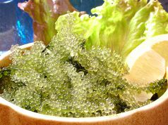 料理メニュー写真 海ぶどう(沖縄県産直送)