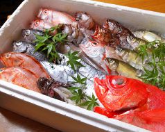 料理メニュー写真 本日の魚いろいろ
