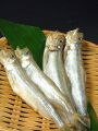 料理メニュー写真&nbsp;特選子持ちししゃも［ニ尾］(北海道)